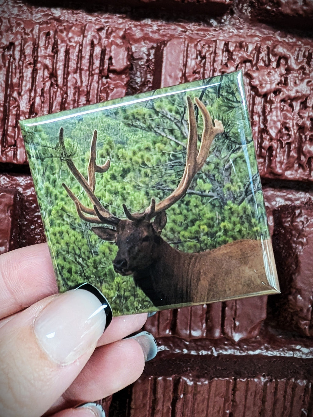Custom Photo Magnets