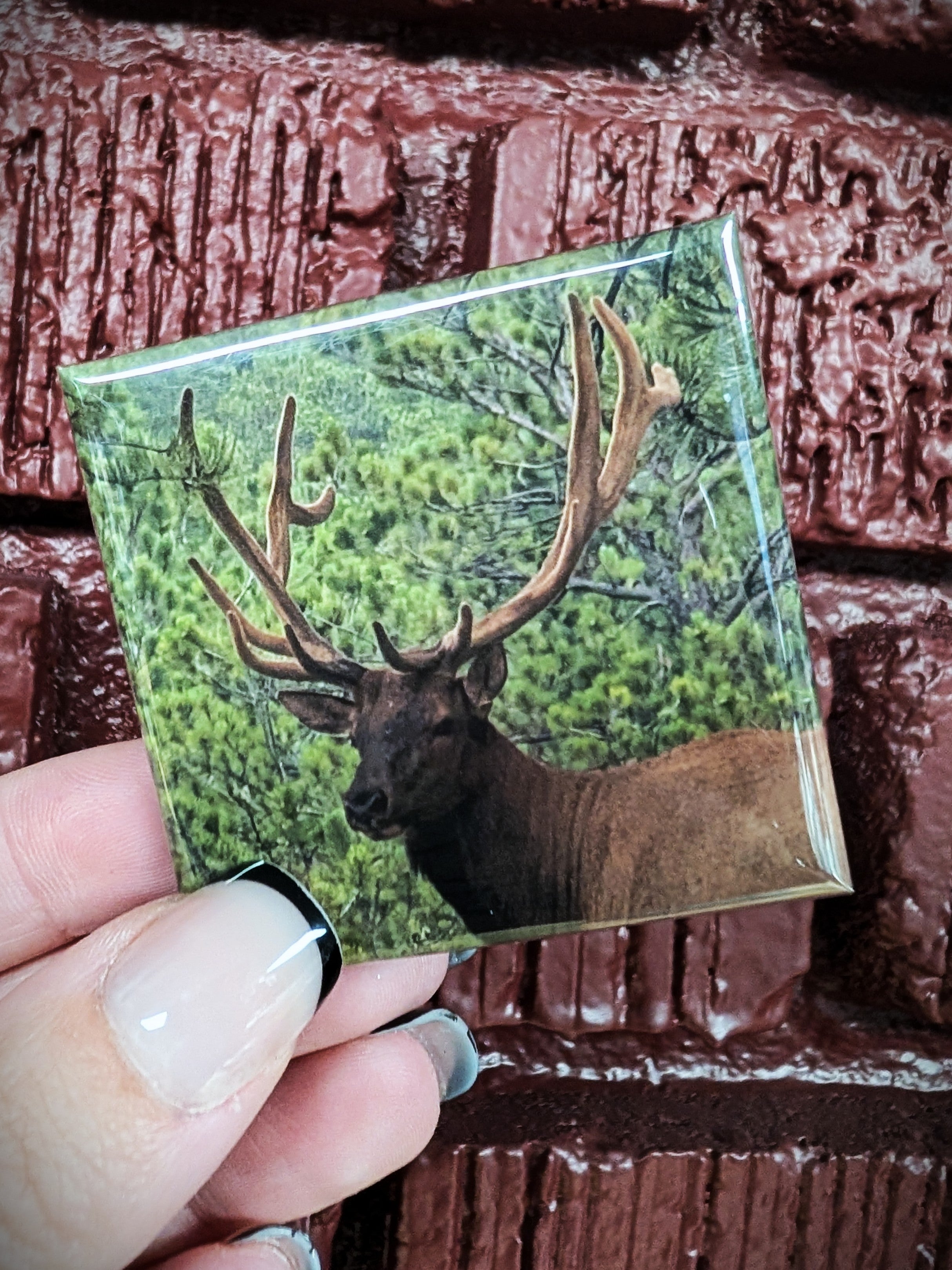 Custom Photo Magnets