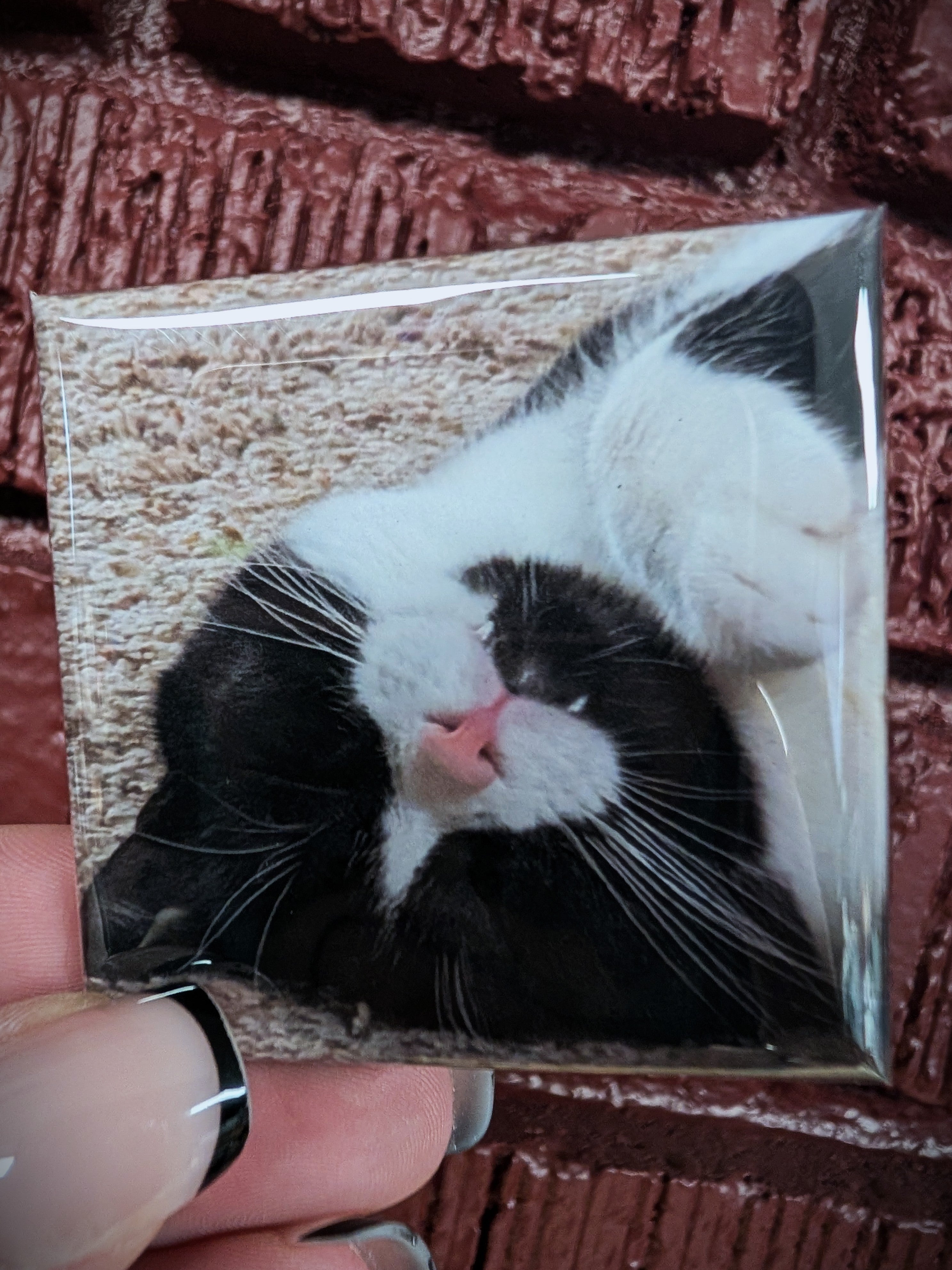 Custom Photo Magnets