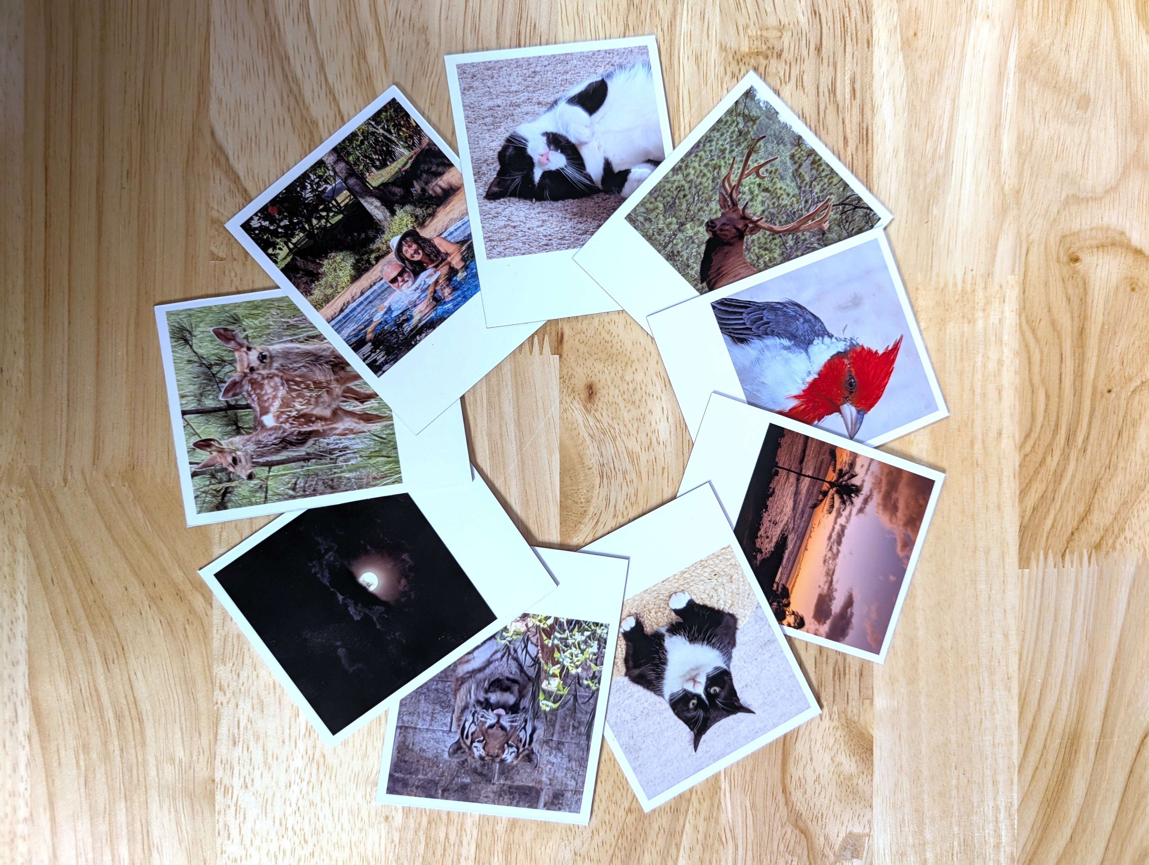 Custom Retro Photo Magnets