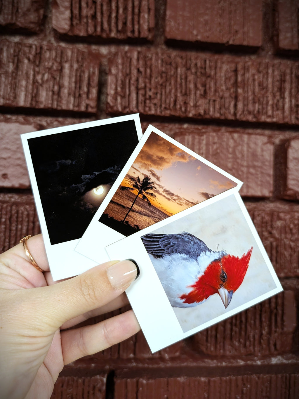 Custom Retro Photo Magnets