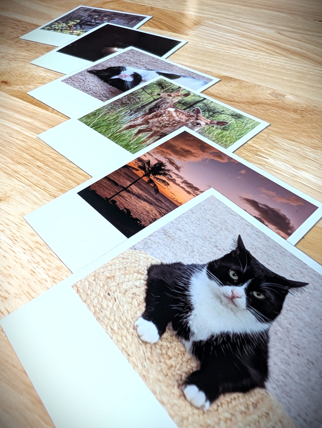 Custom Retro Photo Magnets